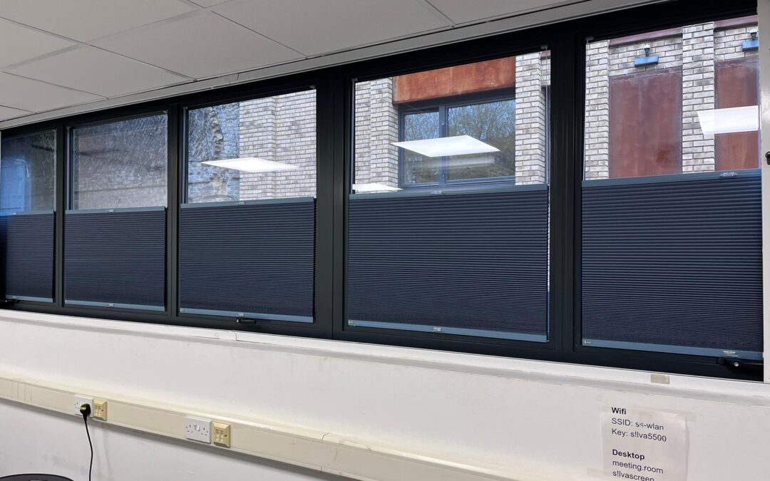 Office Blinds